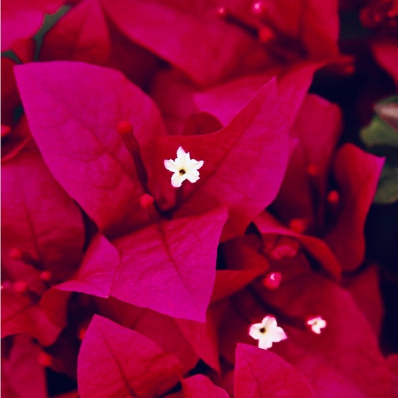 🎅🌟🤶🎄🎁🎶🎅🌟🤶🎄🎁🎶🎅🌟🤶🎄🎁 - Picture 14 of 14